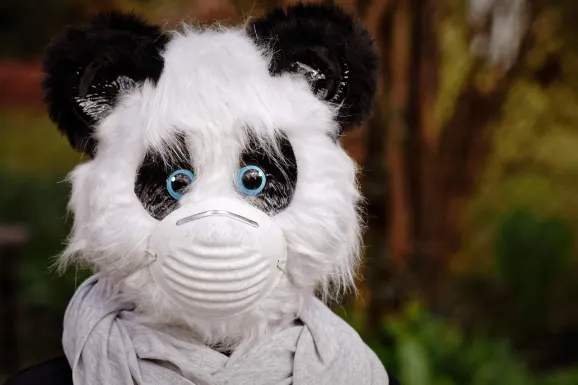 サンダーボルト カジノ サポート